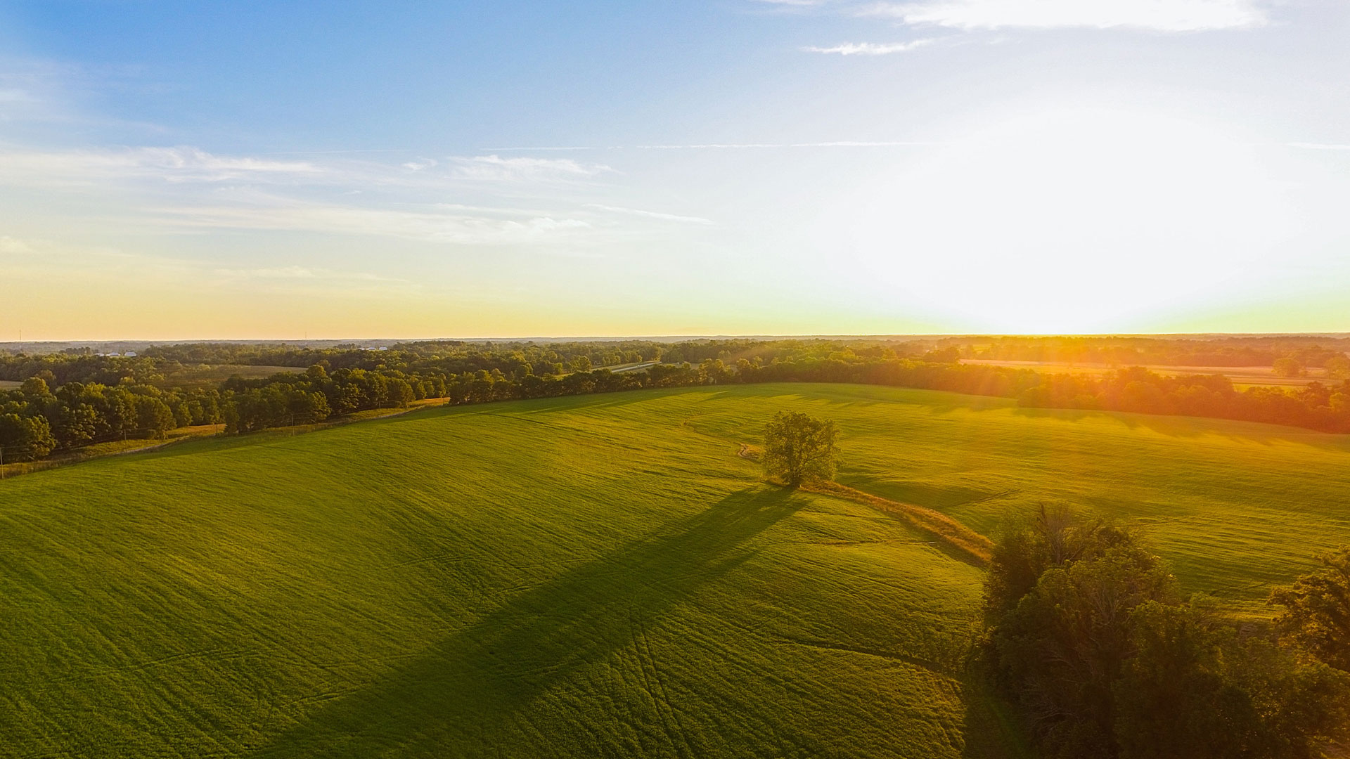 开云在线登录官网_开云(中国)自有农场数量和规模亚洲第一