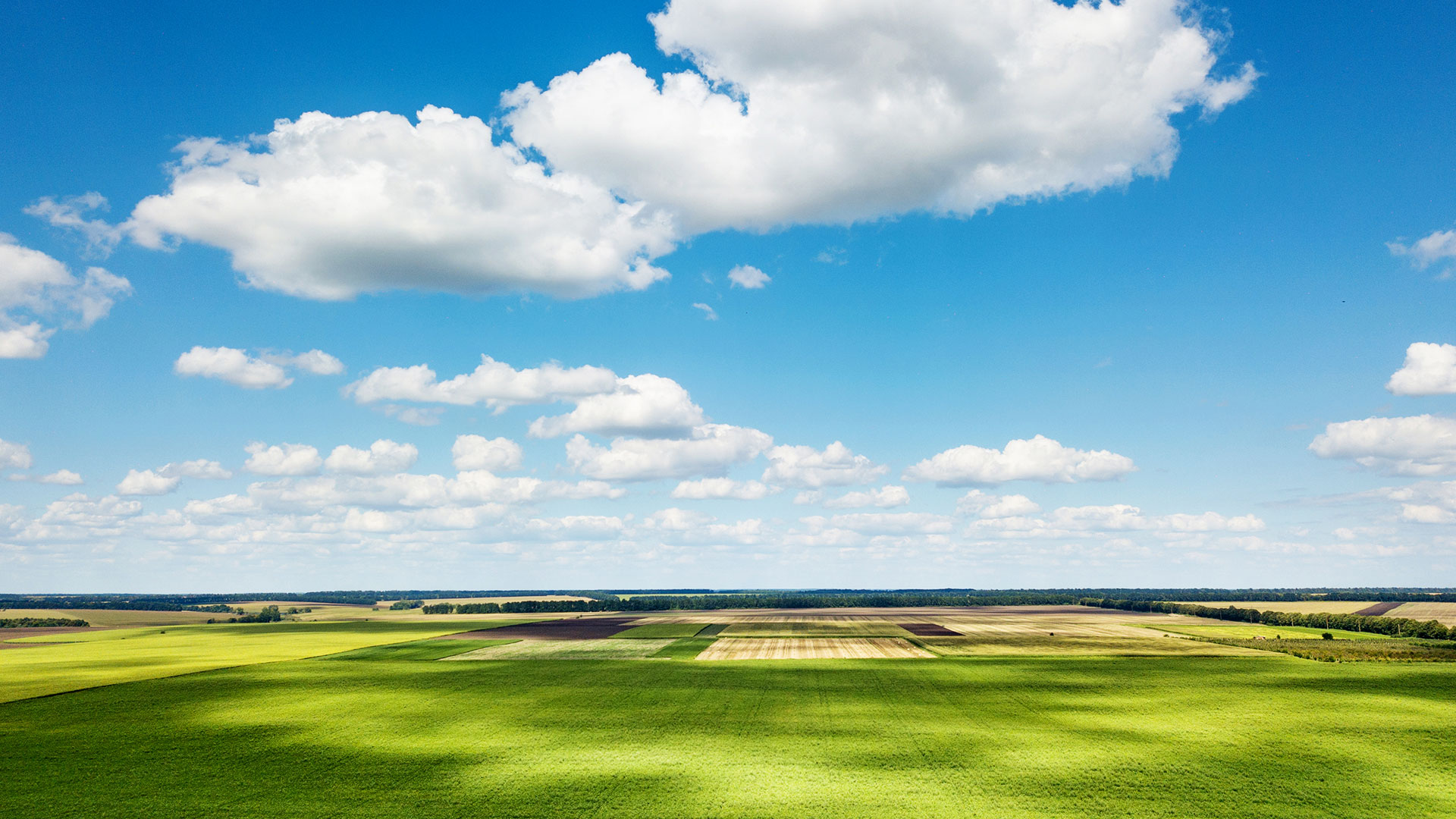 开云在线登录官网_开云(中国)在全国布局30个国际标准的自有生态农场